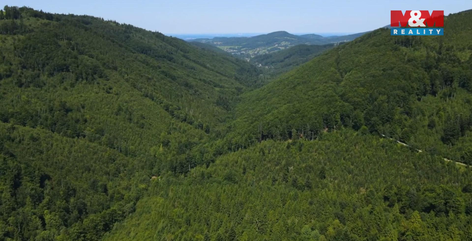Prodej lesa Nýdek 1 860 000 Kč, foto 3