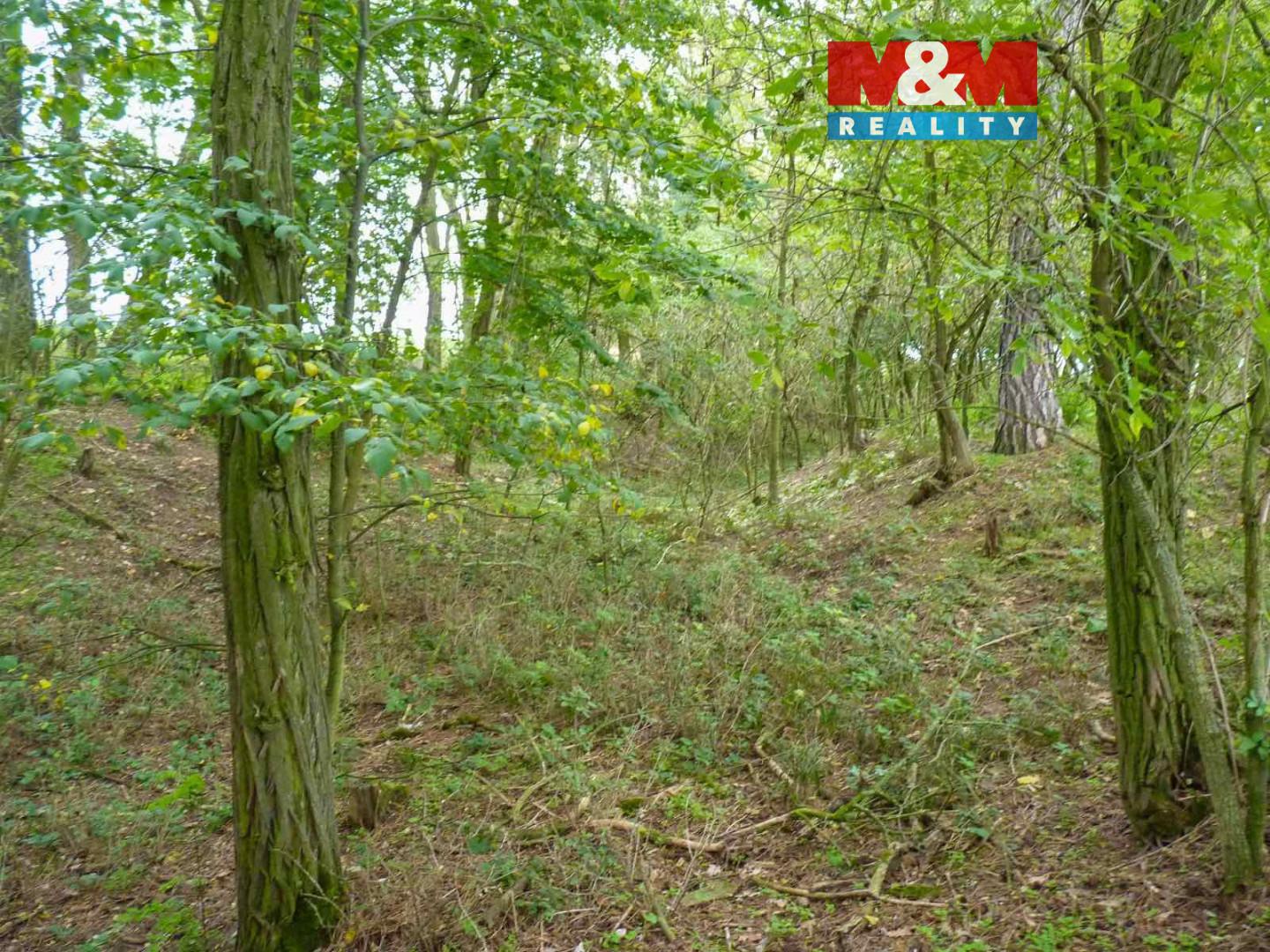 Prodej lesa Dolní Habartice 25 000 Kč, foto 1