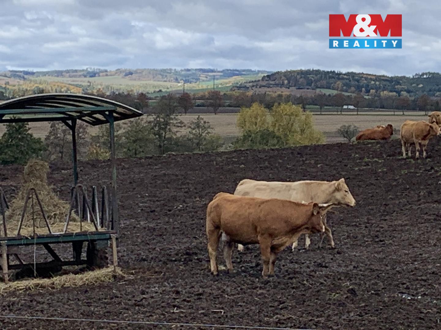 Prodej stavební parcely Jabloňany 4 200 000 Kč, foto 3