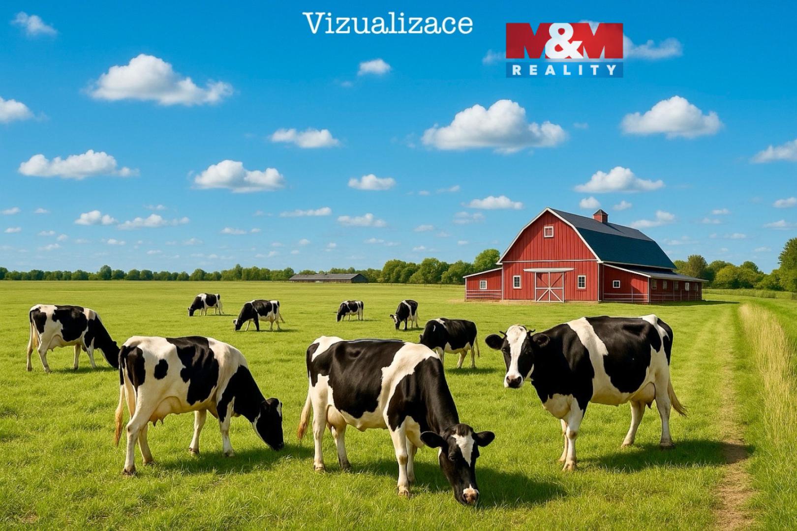 Prodej zemědělské půdy Dolní Roveň 1 295 000 Kč, foto 1