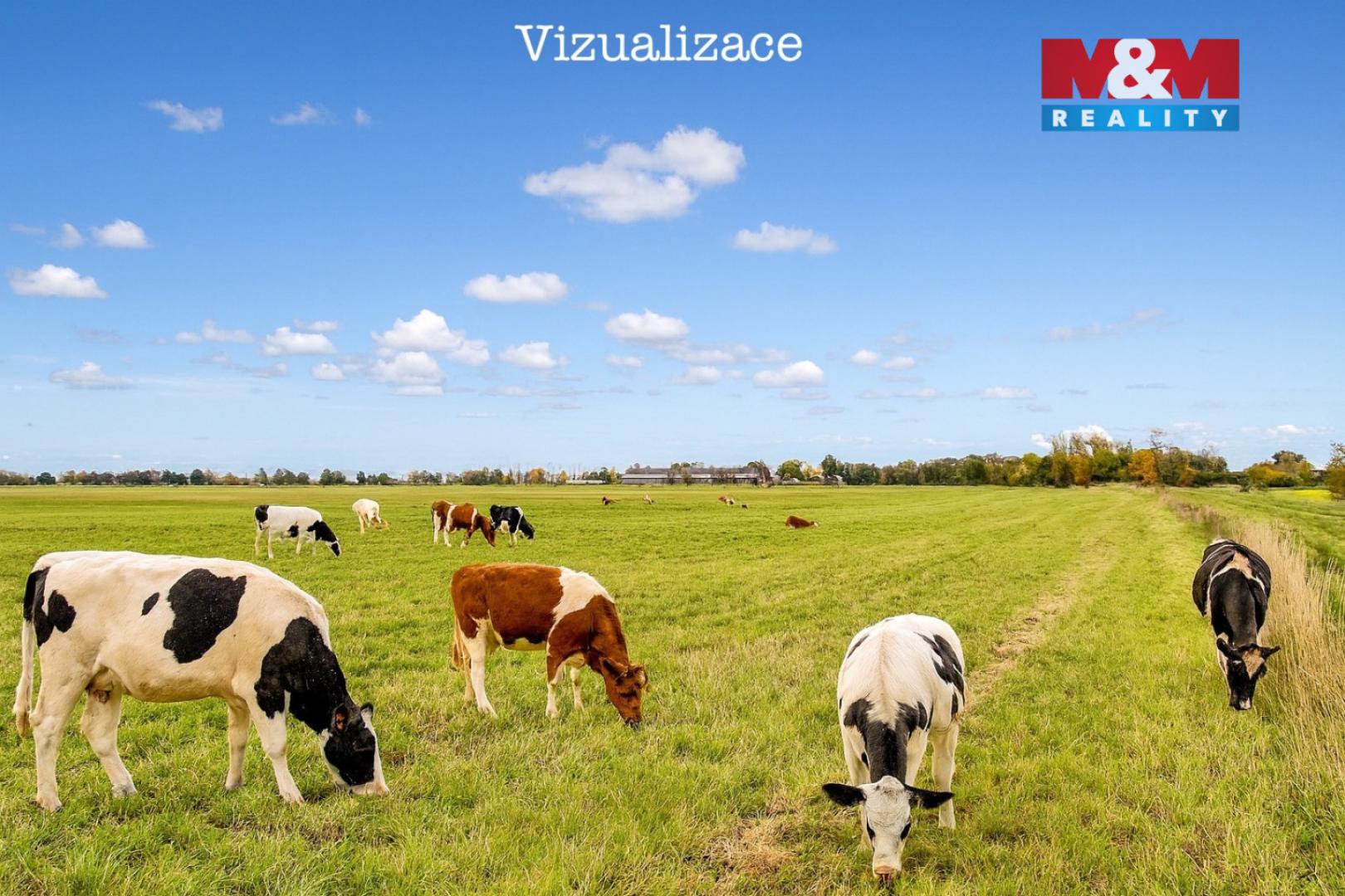 Prodej zemědělské půdy Dolní Roveň 1 295 000 Kč, foto 2