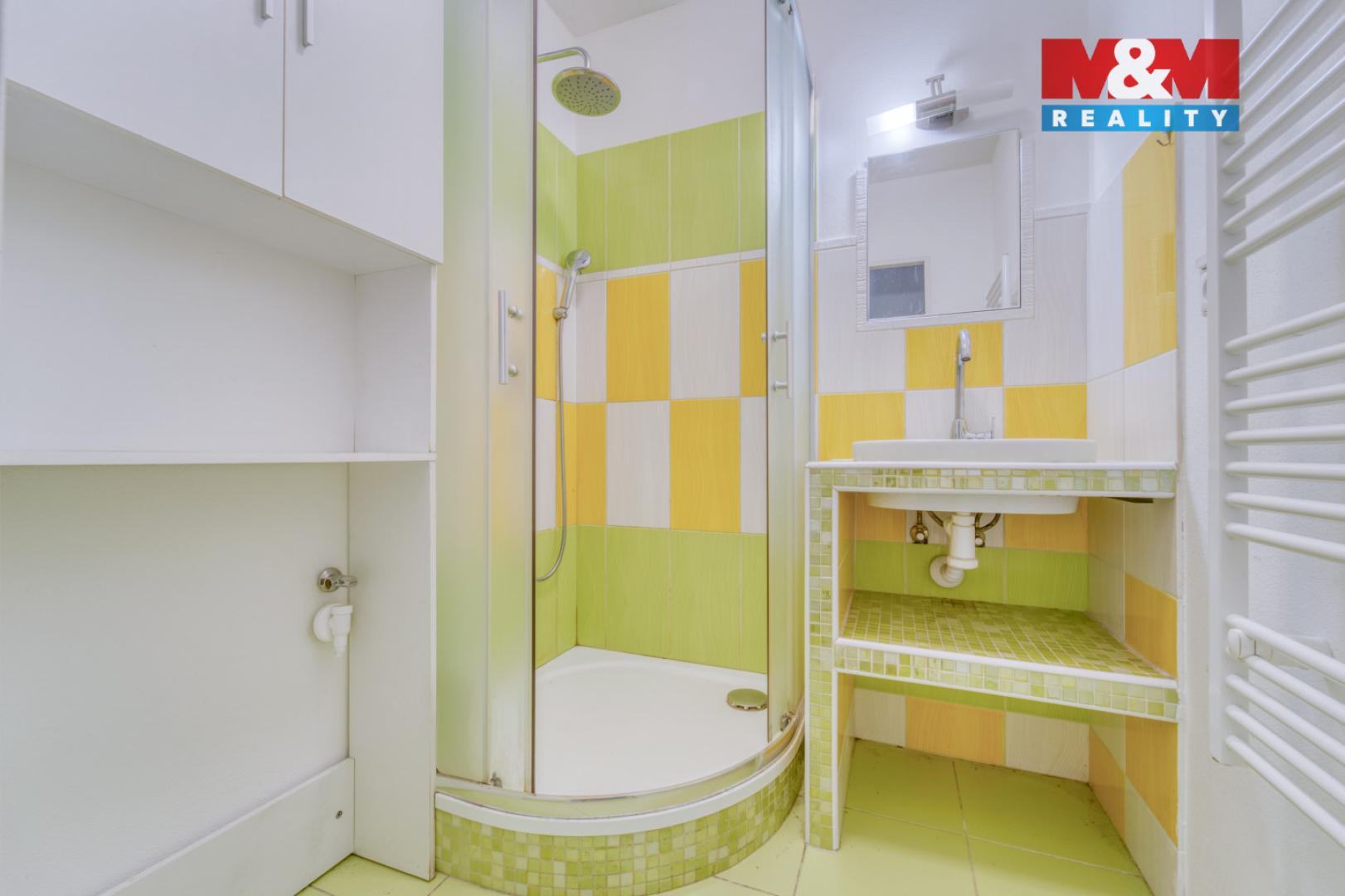 Pronájem bytu 2+1 Planá 12 000 Kč za měsíc, foto 9