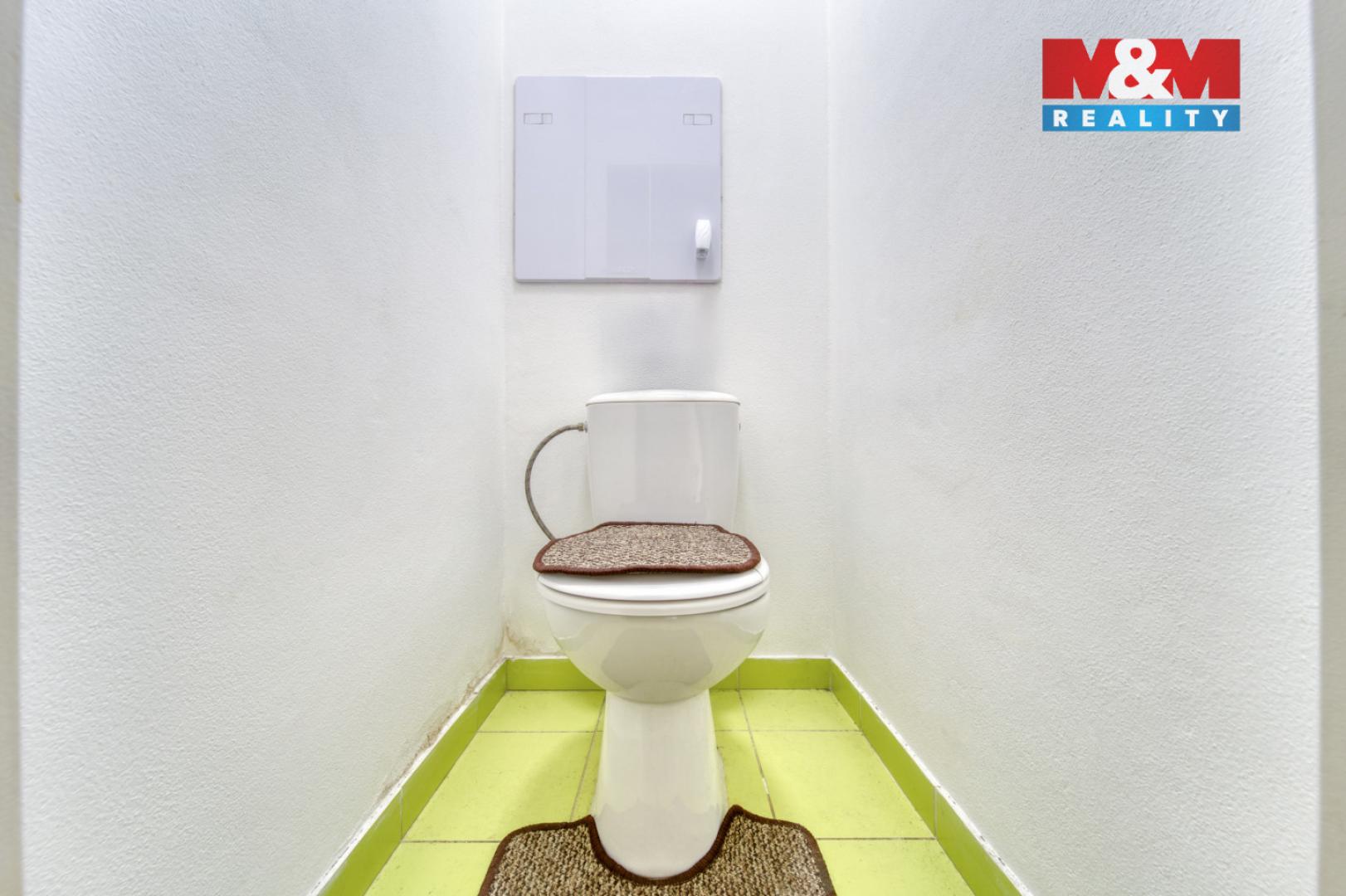 Pronájem bytu 2+1 Planá 12 000 Kč za měsíc, foto 10