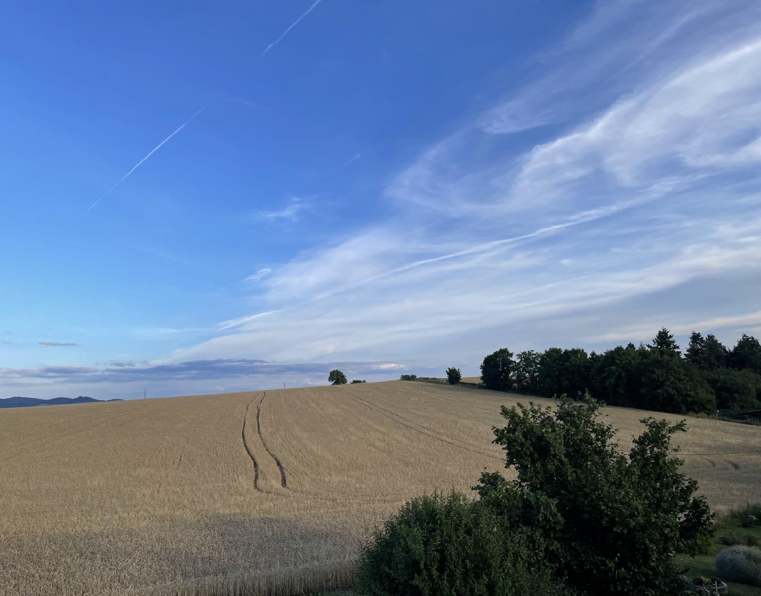 Prodej chaty Domažlice 1 600 000 Kč, foto 16