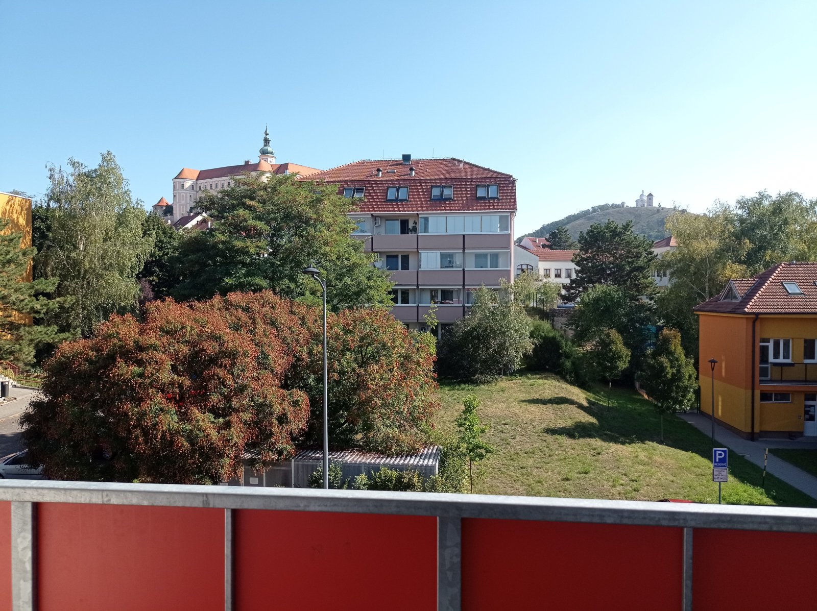 IMG_20250909_101049.jpg