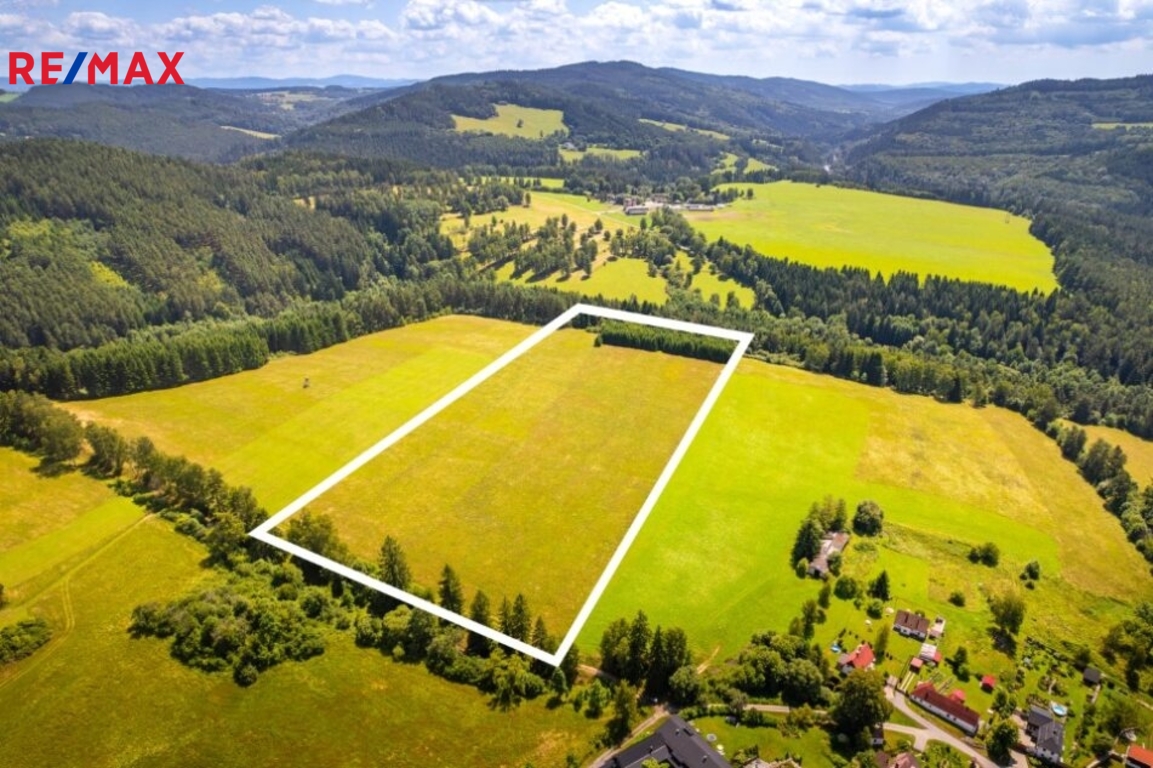 Lesní pozemek
