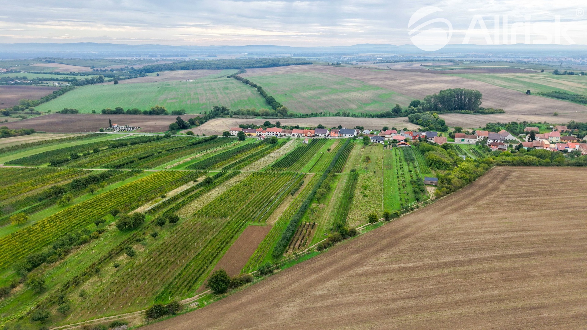 DJI_20260924093624_0375_D