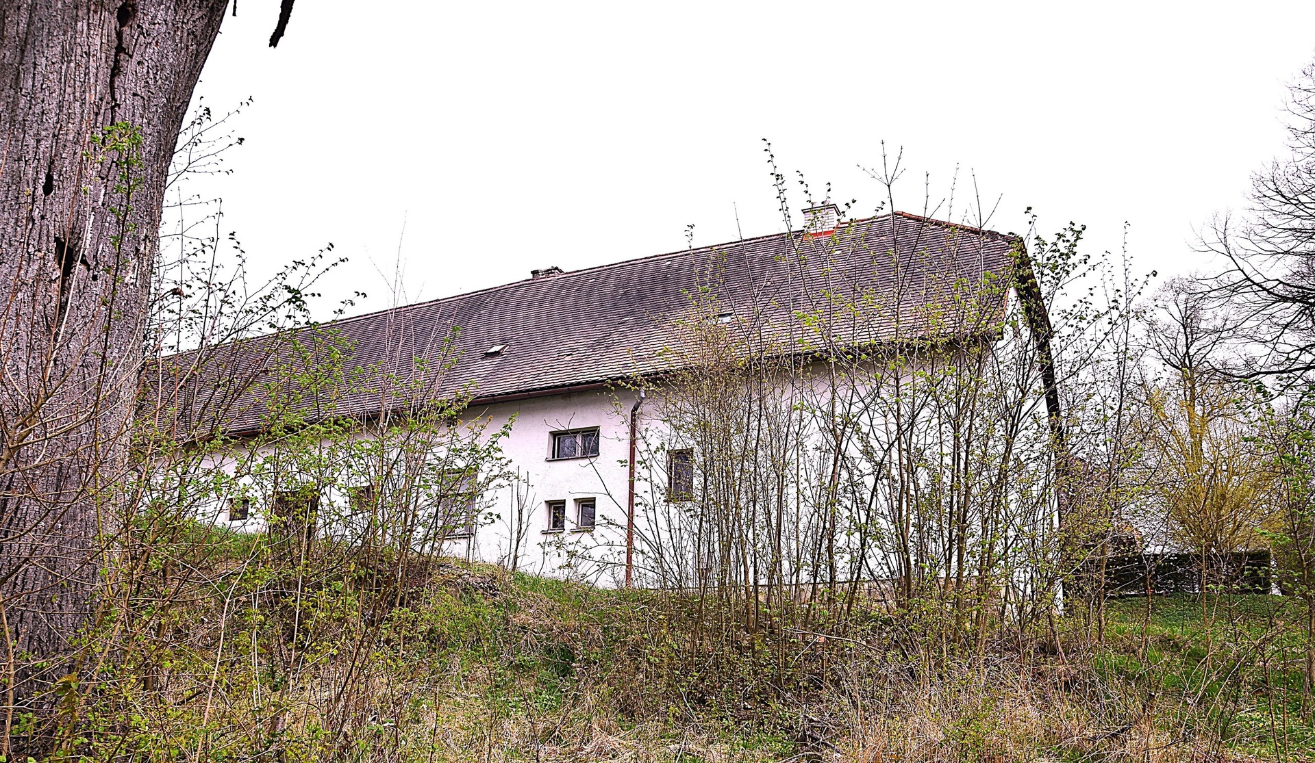 DSC_0118[1]