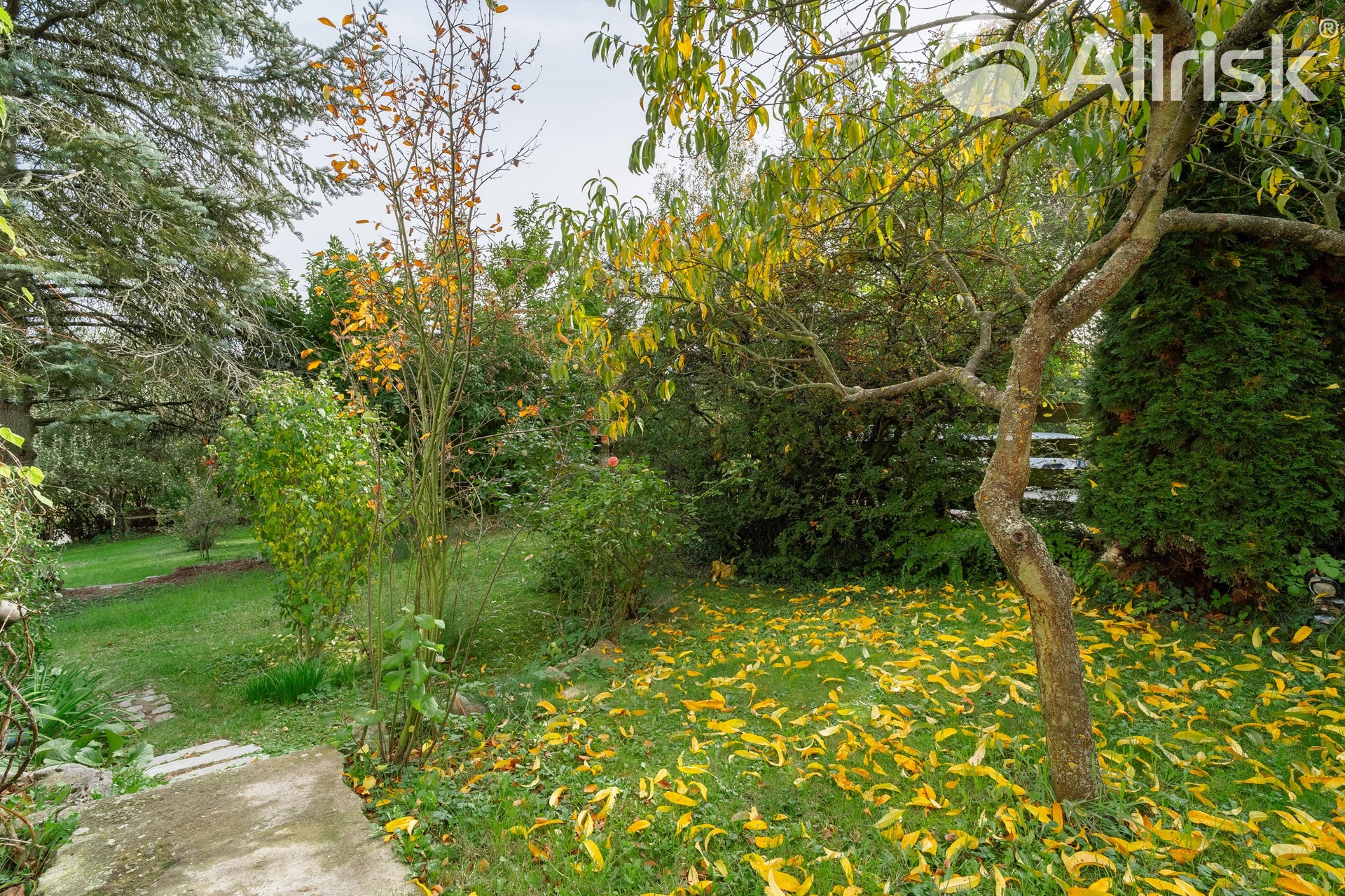 A7300750-HDR (2)