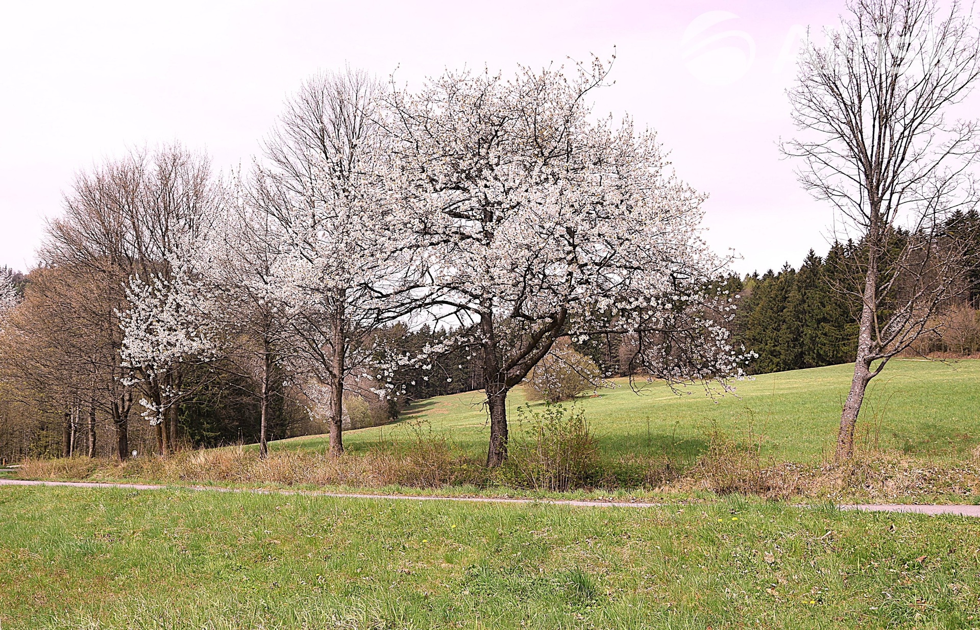 DSC_0090[1]