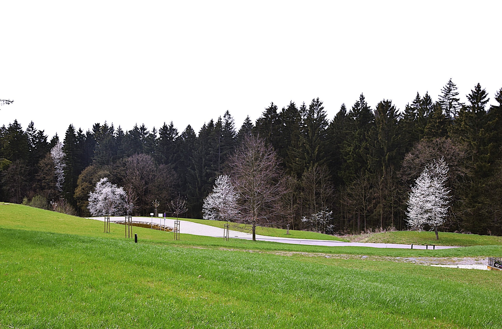 DSC_0112[1]