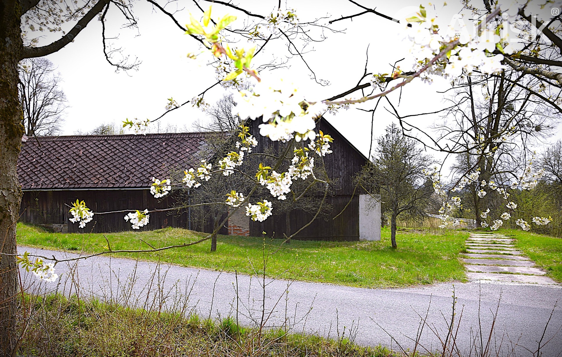 DSC_0101[1]
