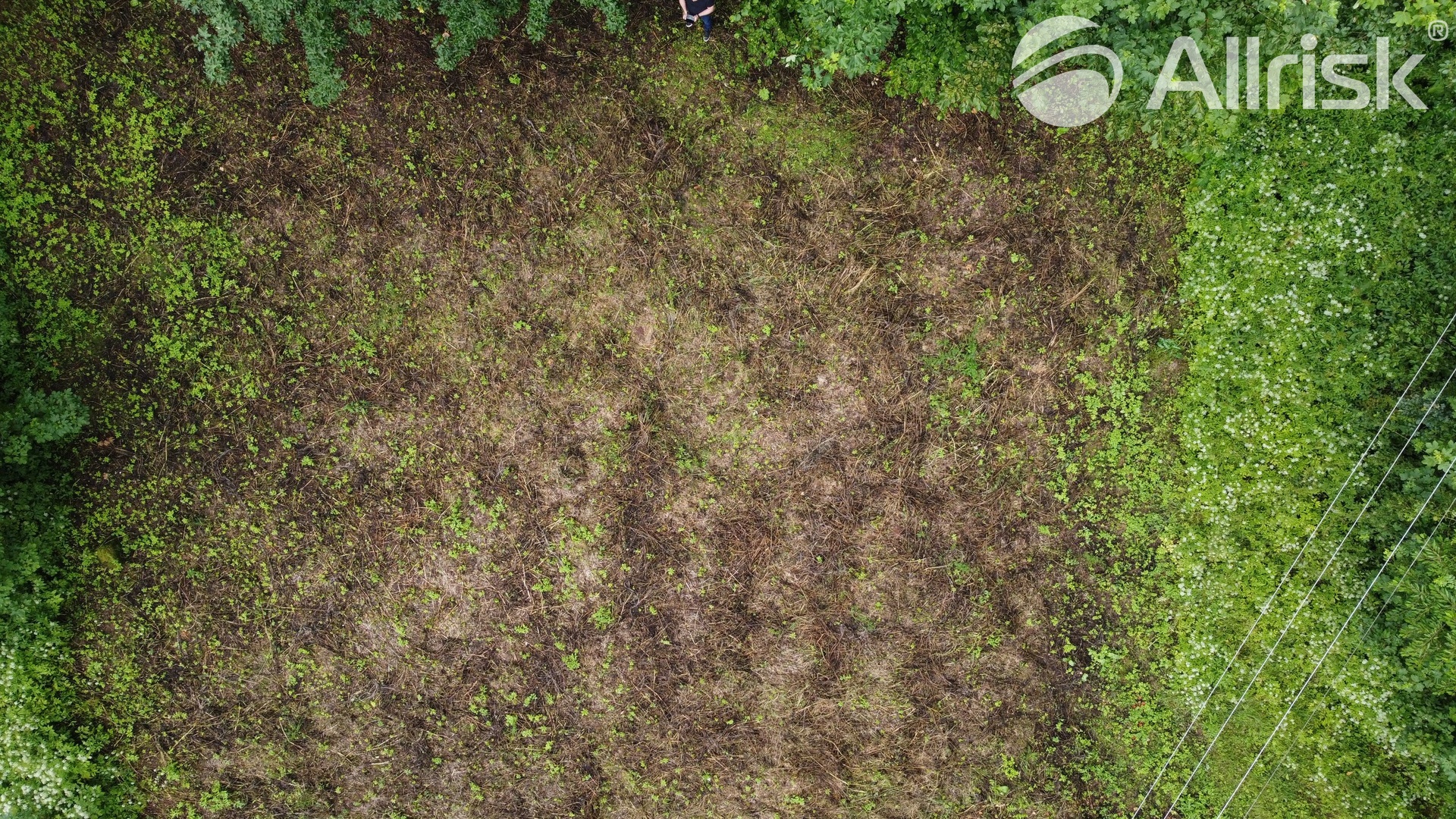 DJI_0358