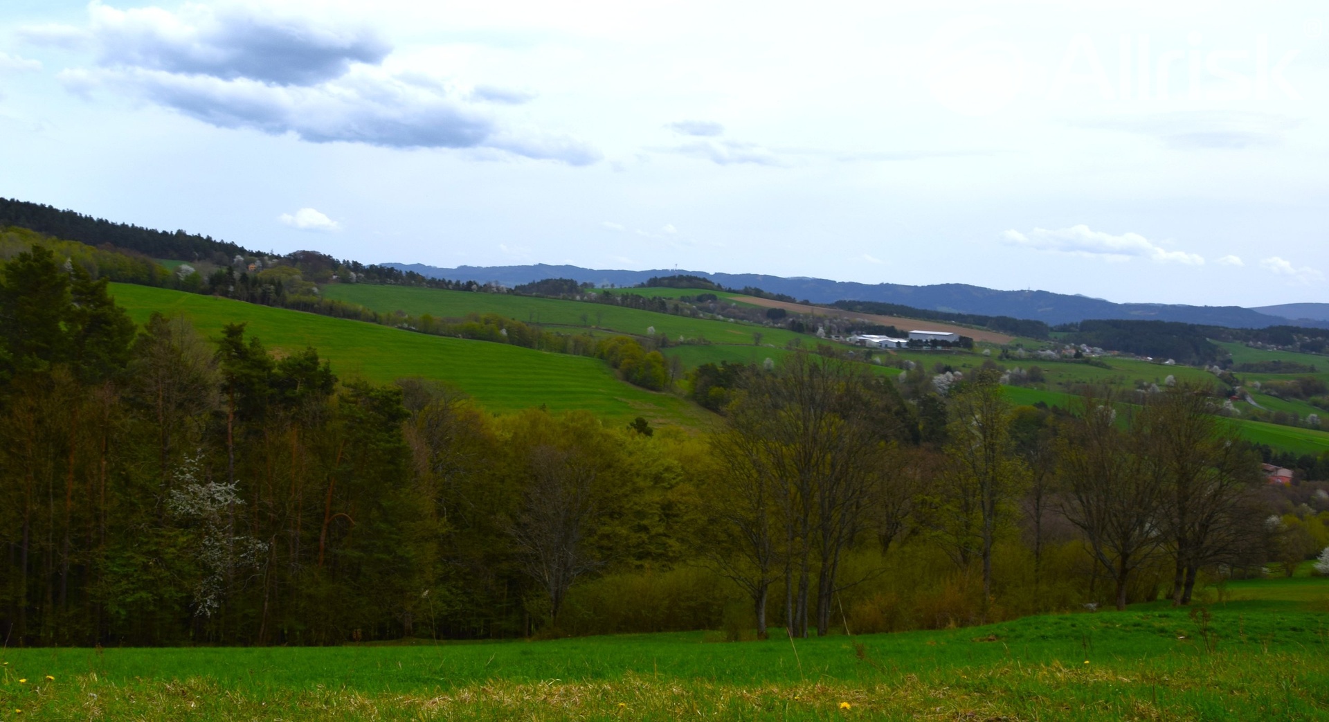 DSC_0126[1]