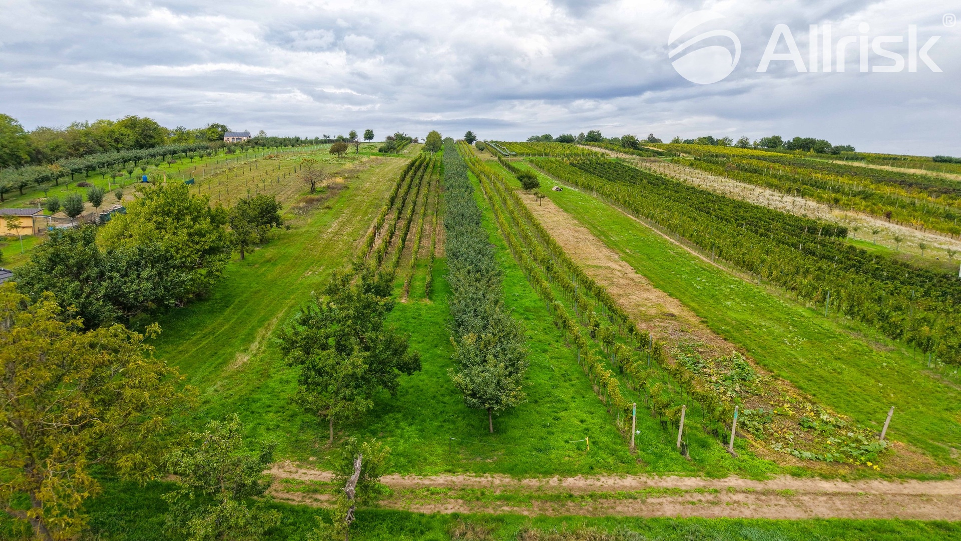 DJI_20260924093230_0366_D