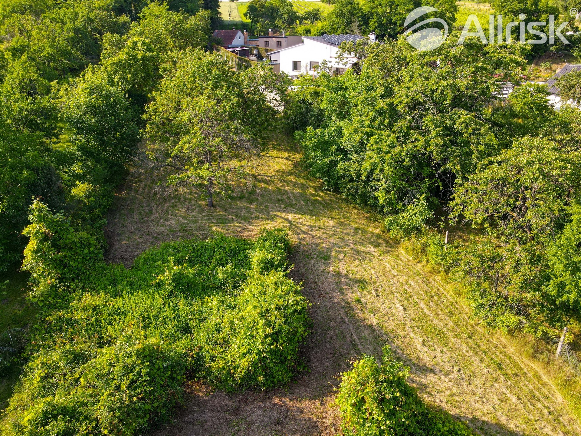 DJI_0023