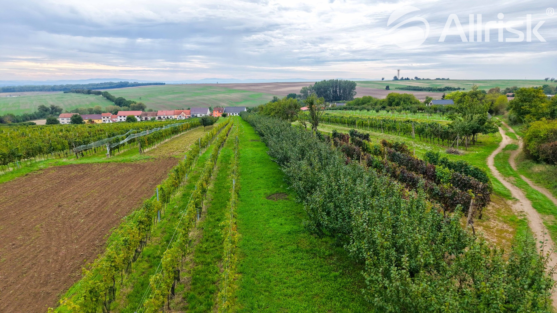 DJI_20260924093711_0378_D