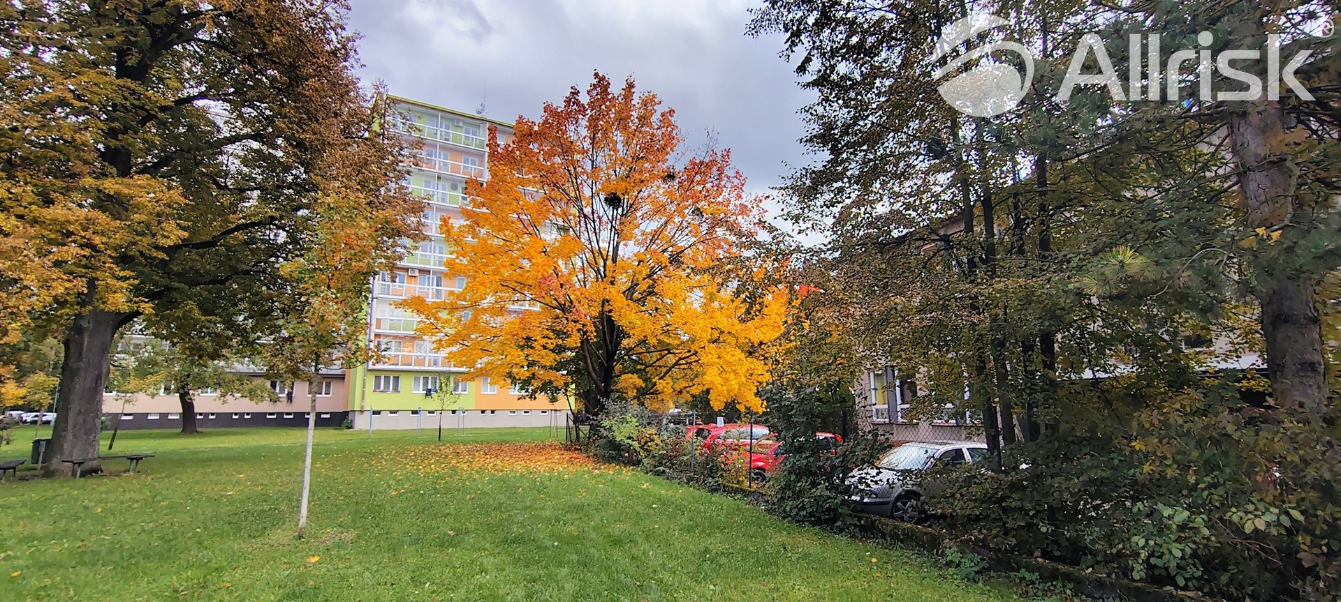 IMG_20251016_150006727_HDR_AE