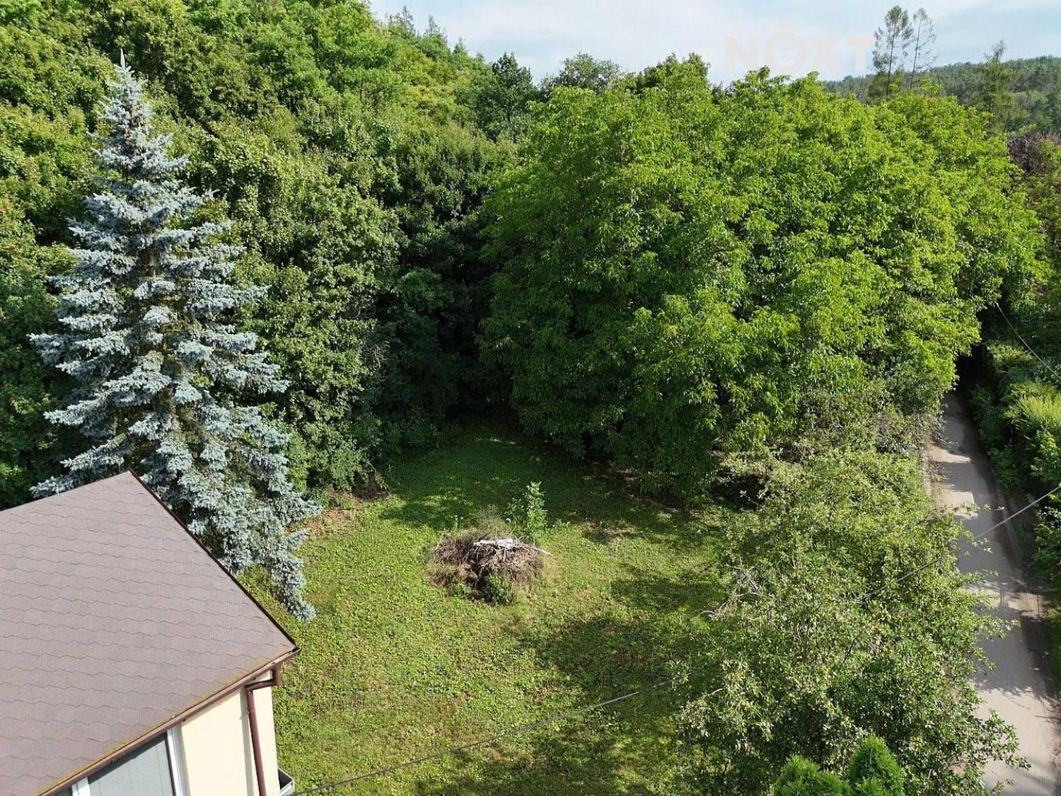 dji-fly-20250129-104812-0-1738144092983-photo-low-quality.1752662605.jpg