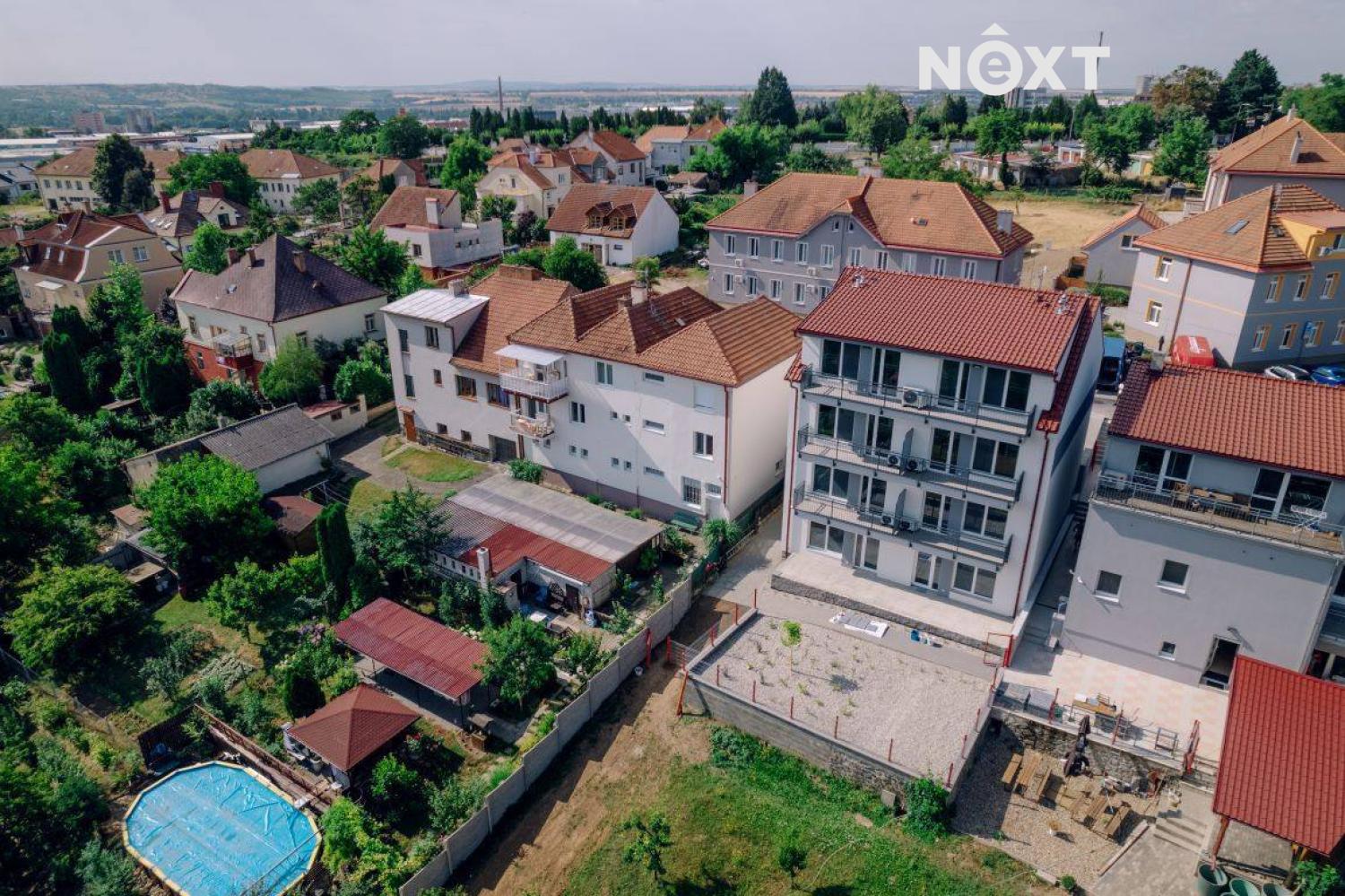 vit-venek-6.1690526429.jpg