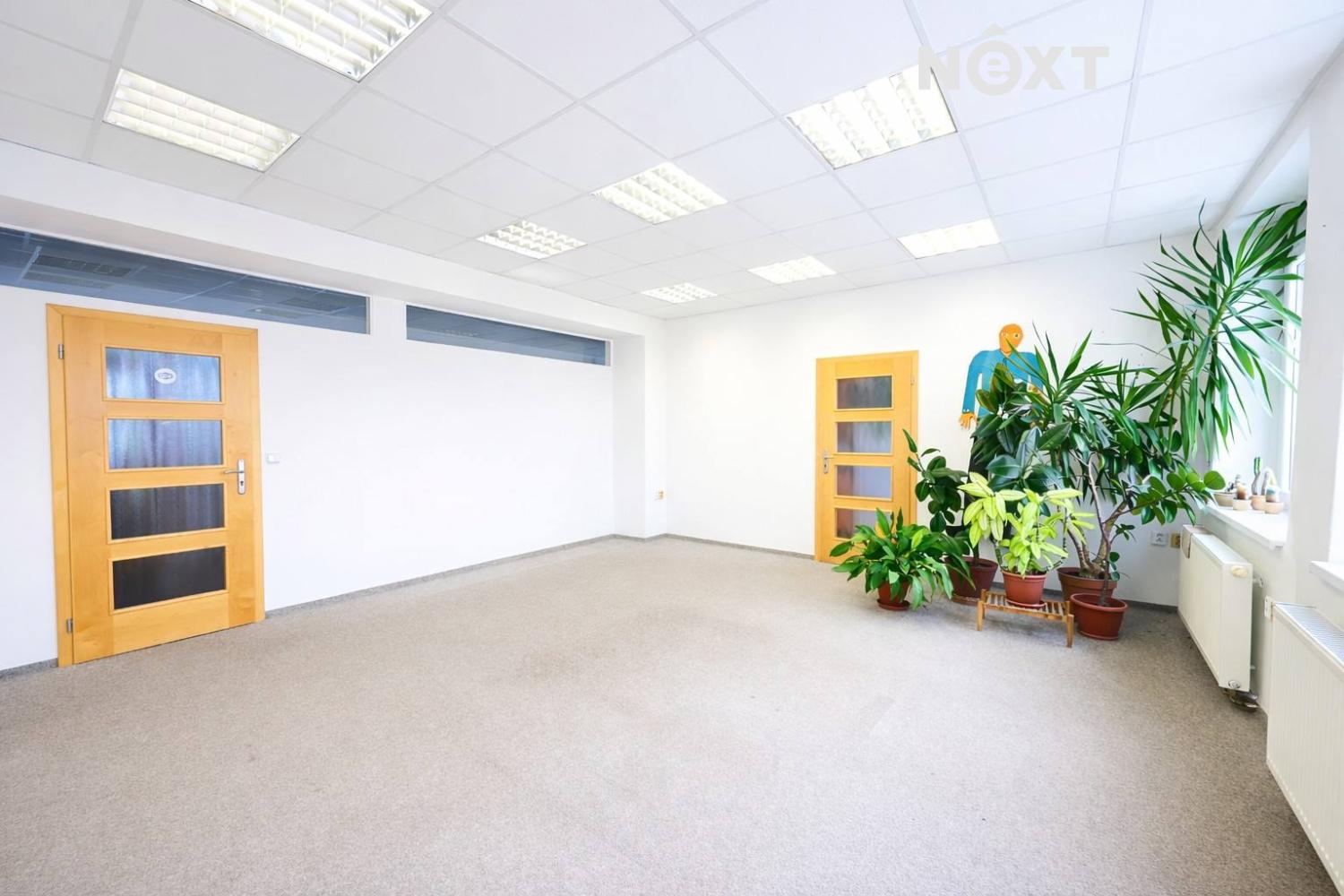 prazdna-kancelar-s-pestrobarevnymi-rostlinami.1774