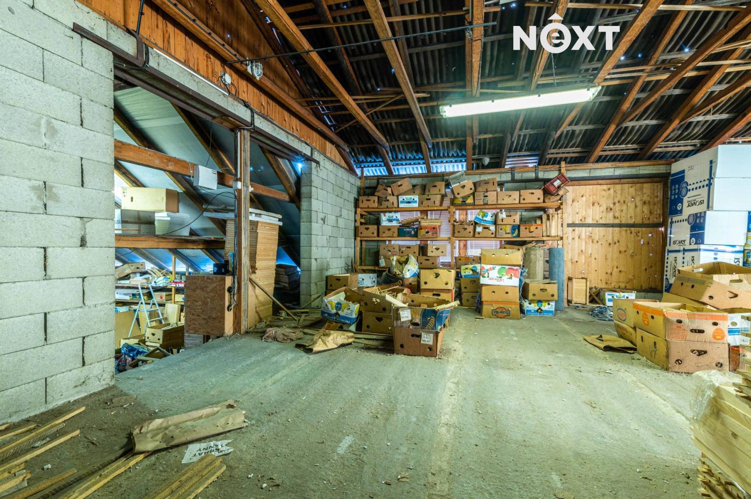 8de66c8a-49c7-4d7f-92c4-4e54bfd96389.1767610762.jp