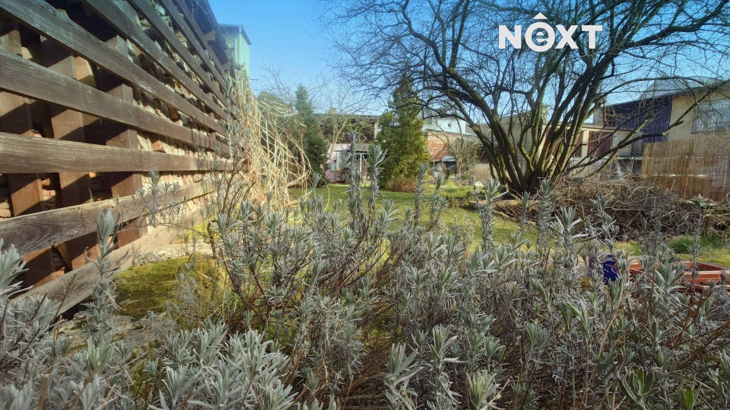 whatsapp-image-2026-03-11-at-16.34.19.1773246119.j