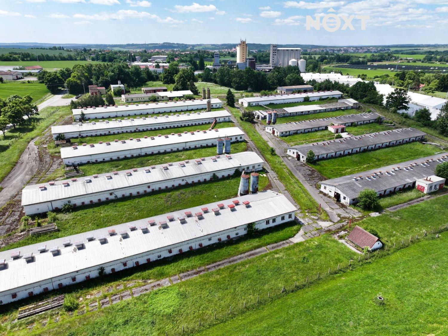 dji-20250612120101-0788-d.1750246197.jpg