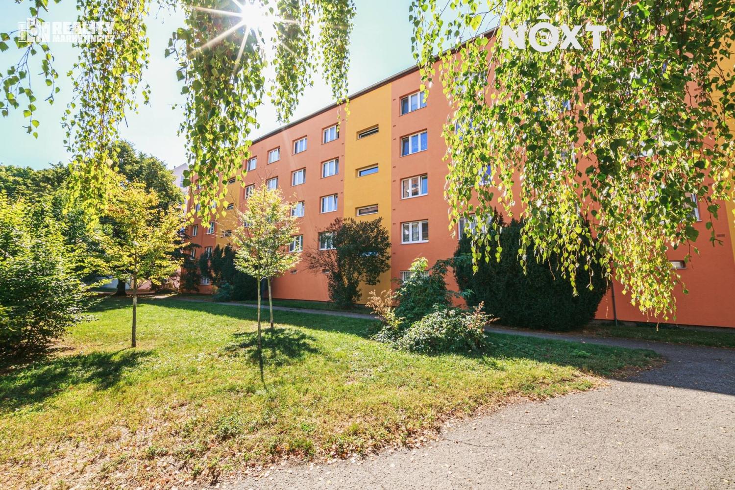 brno-013.1757680645.jpg