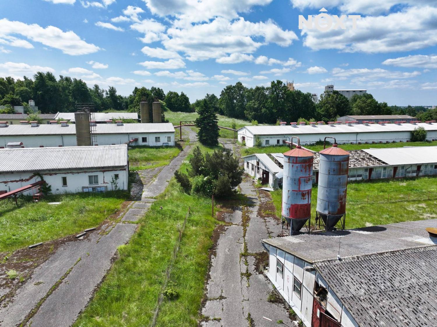 dji-20250612121102-0816-d.1750246215.jpg