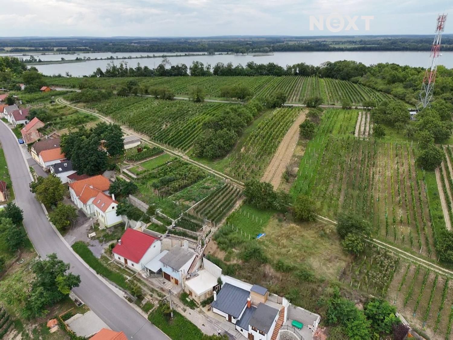 dji-fly-20250222-194824-0-1740250104057-photo-low-