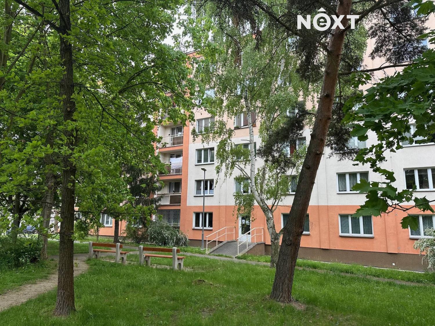 img-6431.1746561248.jpeg
