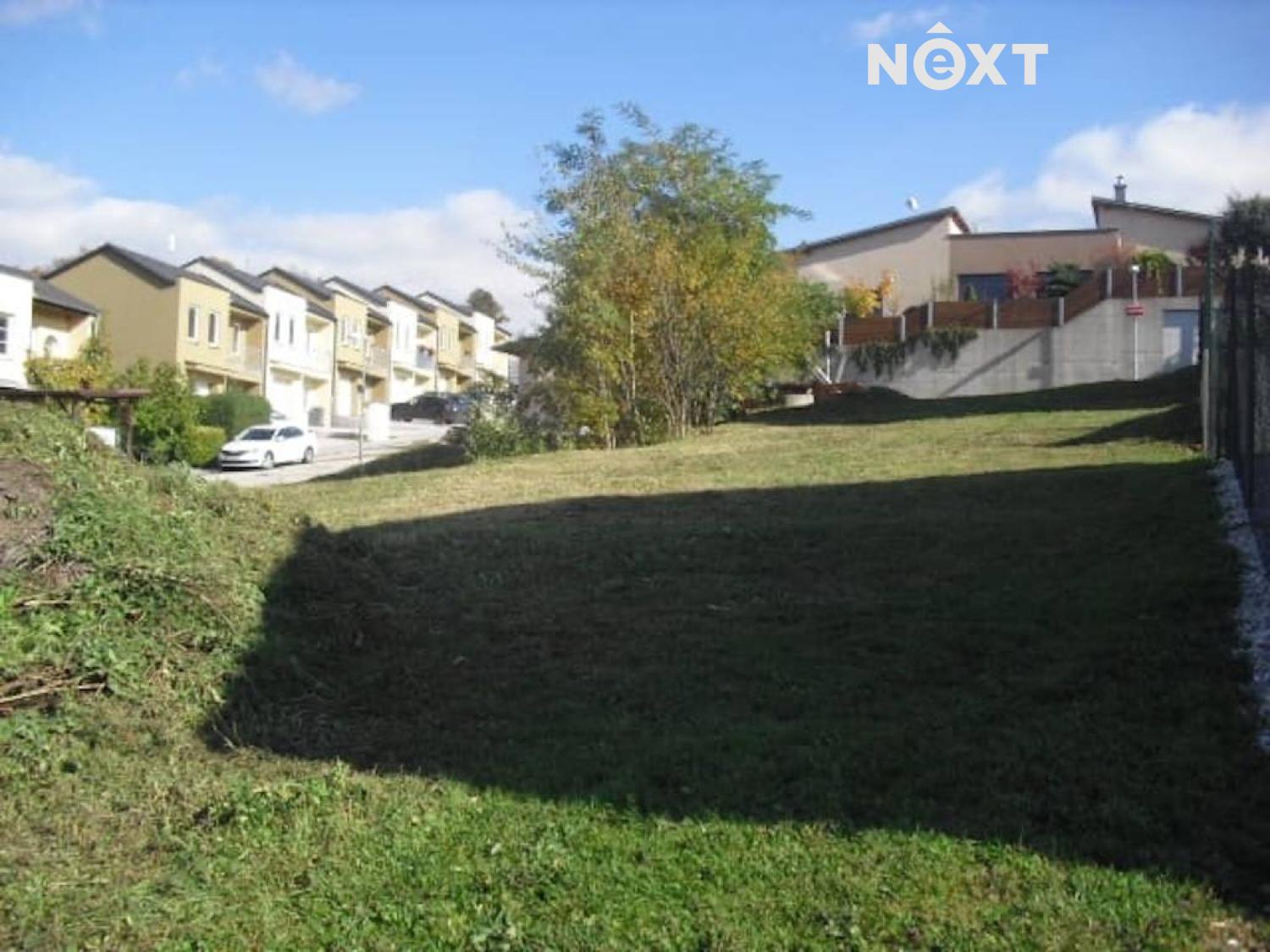 290cafde-61b2-4d9d-8751-206431491ff1.1768818269.jp