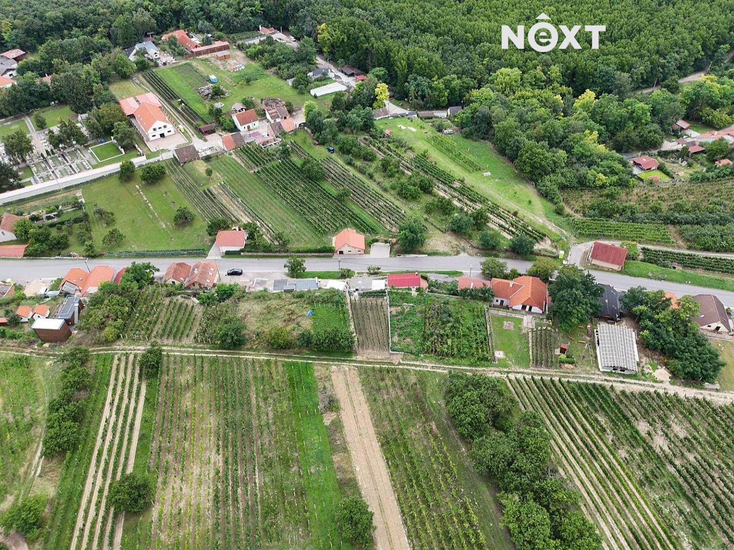dji-fly-20250222-194428-0-1740249868521-photo-low-