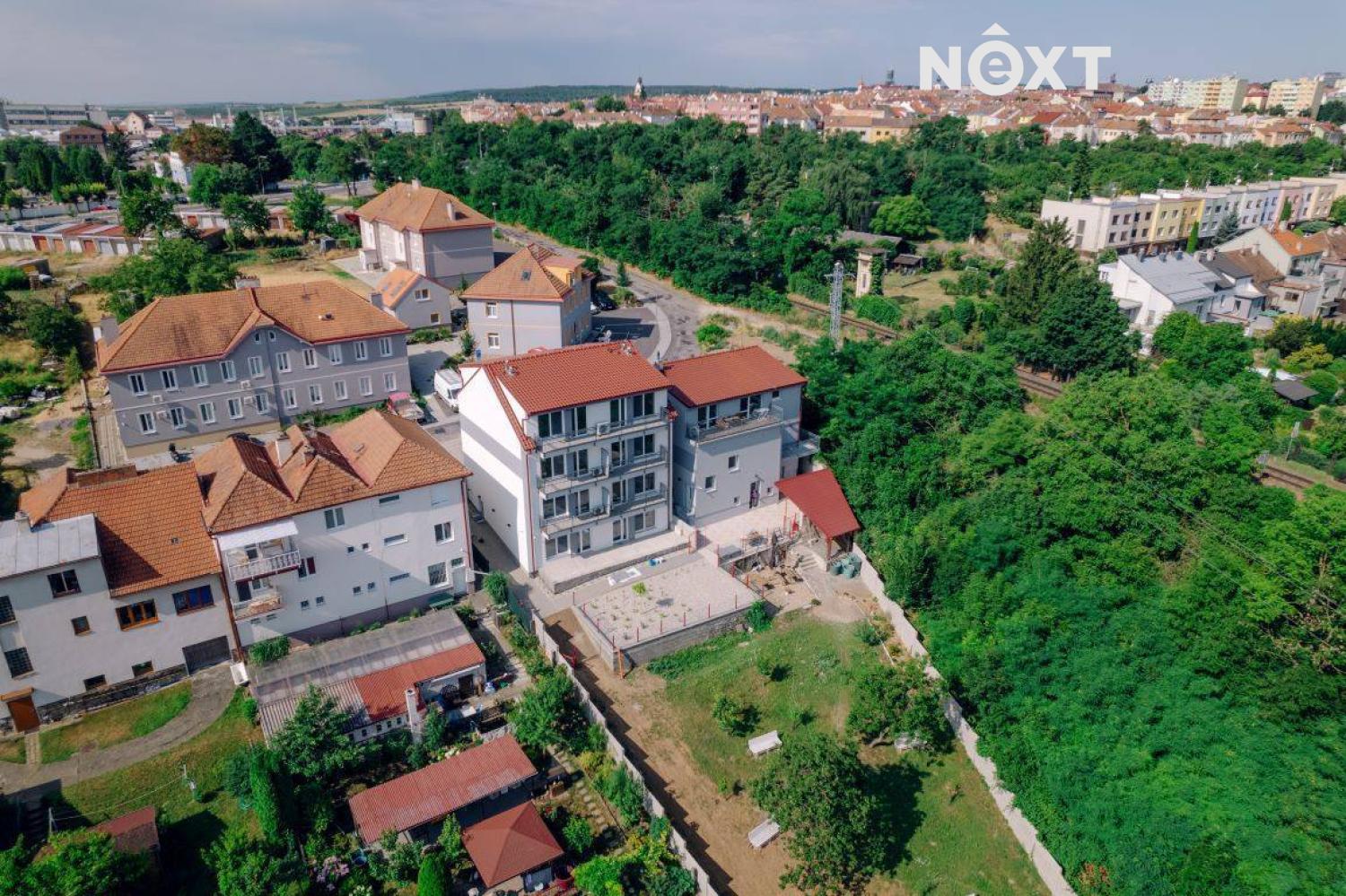 vit-venek-8.1690526430.jpg