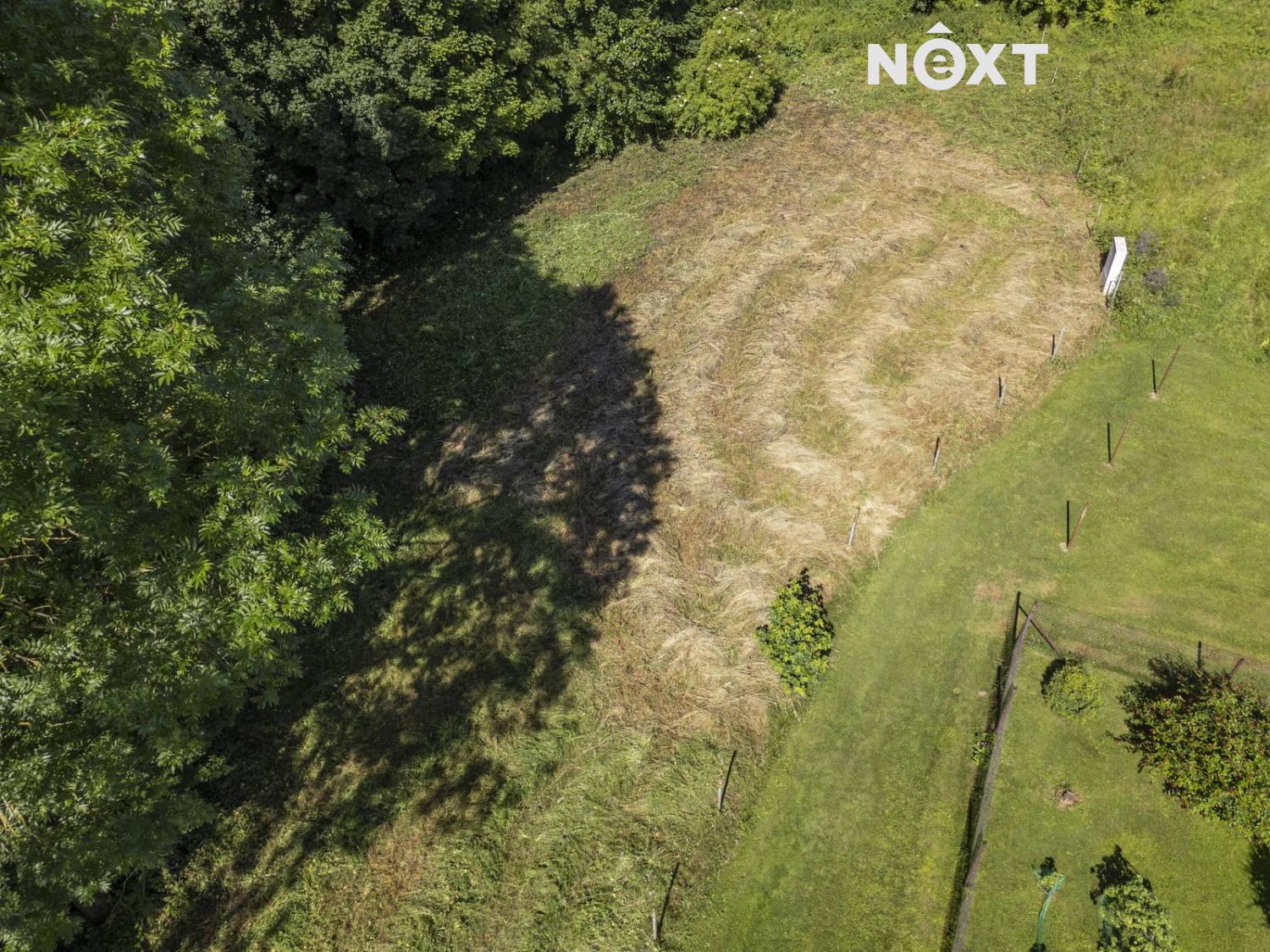 dji-20250630095154-0016-d.1751539933.jpg