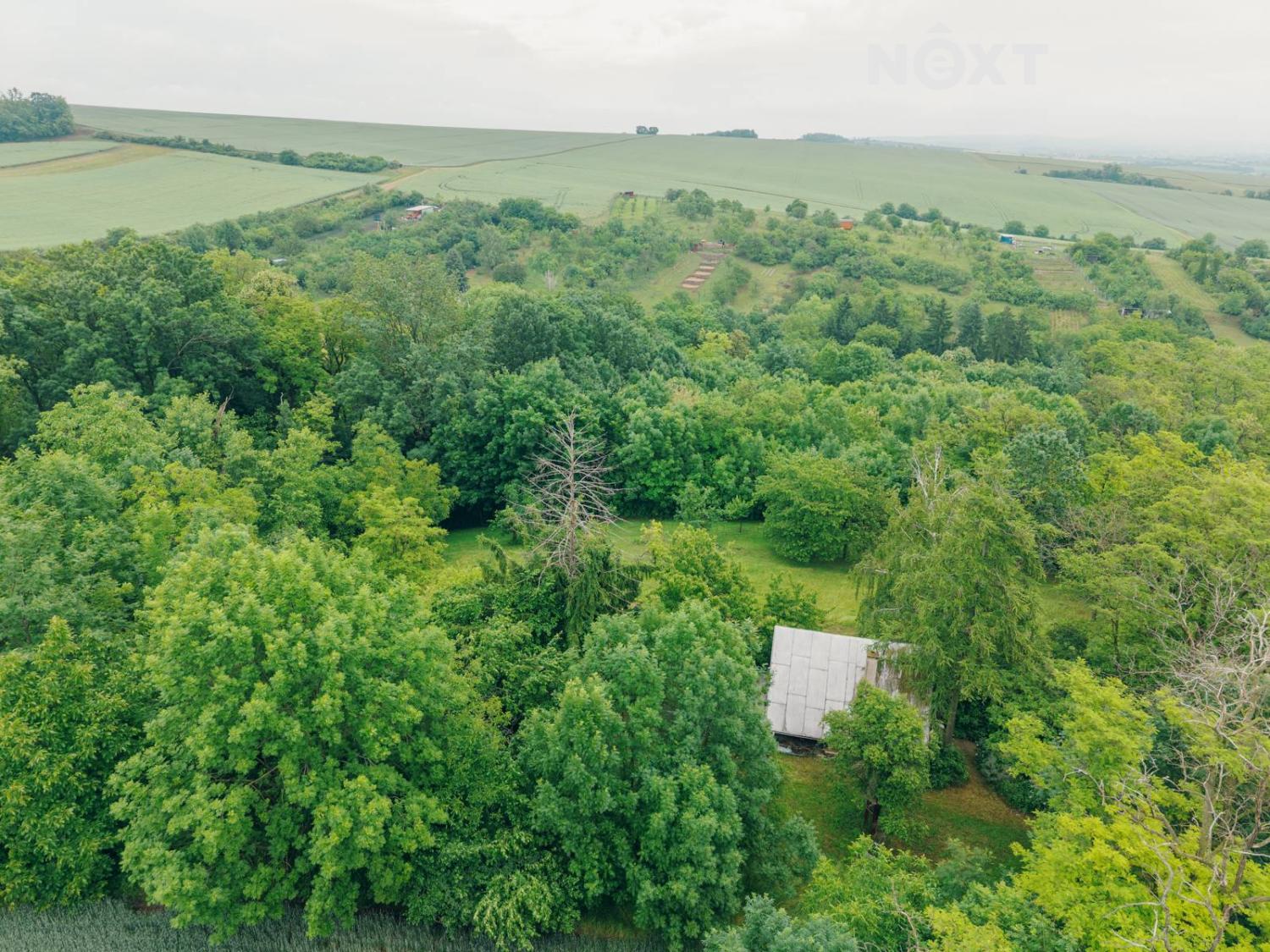 dji-20250603100106-0914-d.1749836979.jpg