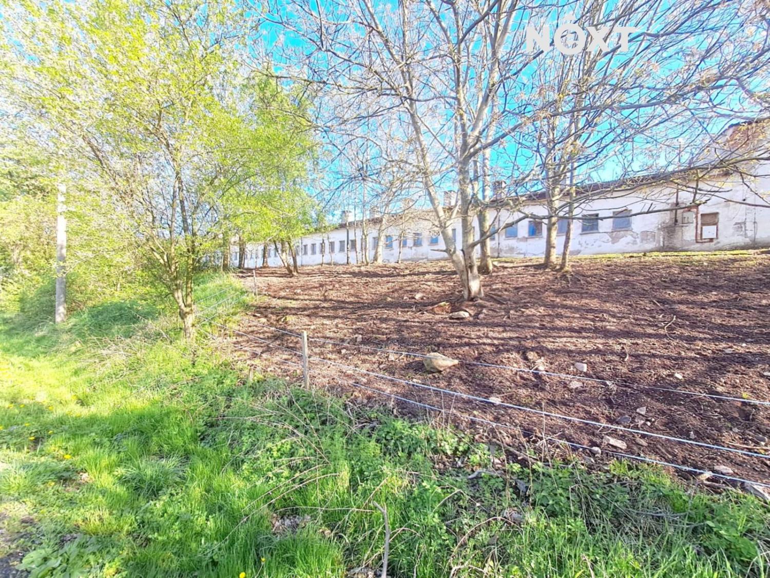 d3a232e0-5536-4505-b94c-f46bca69bf60.1767963972.jp