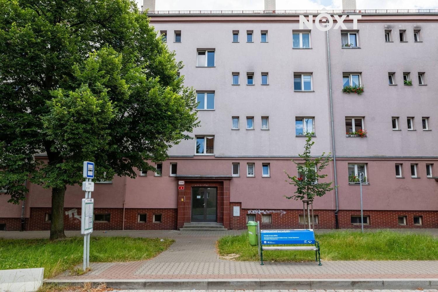 alej.sv.-18.1719673543.jpg