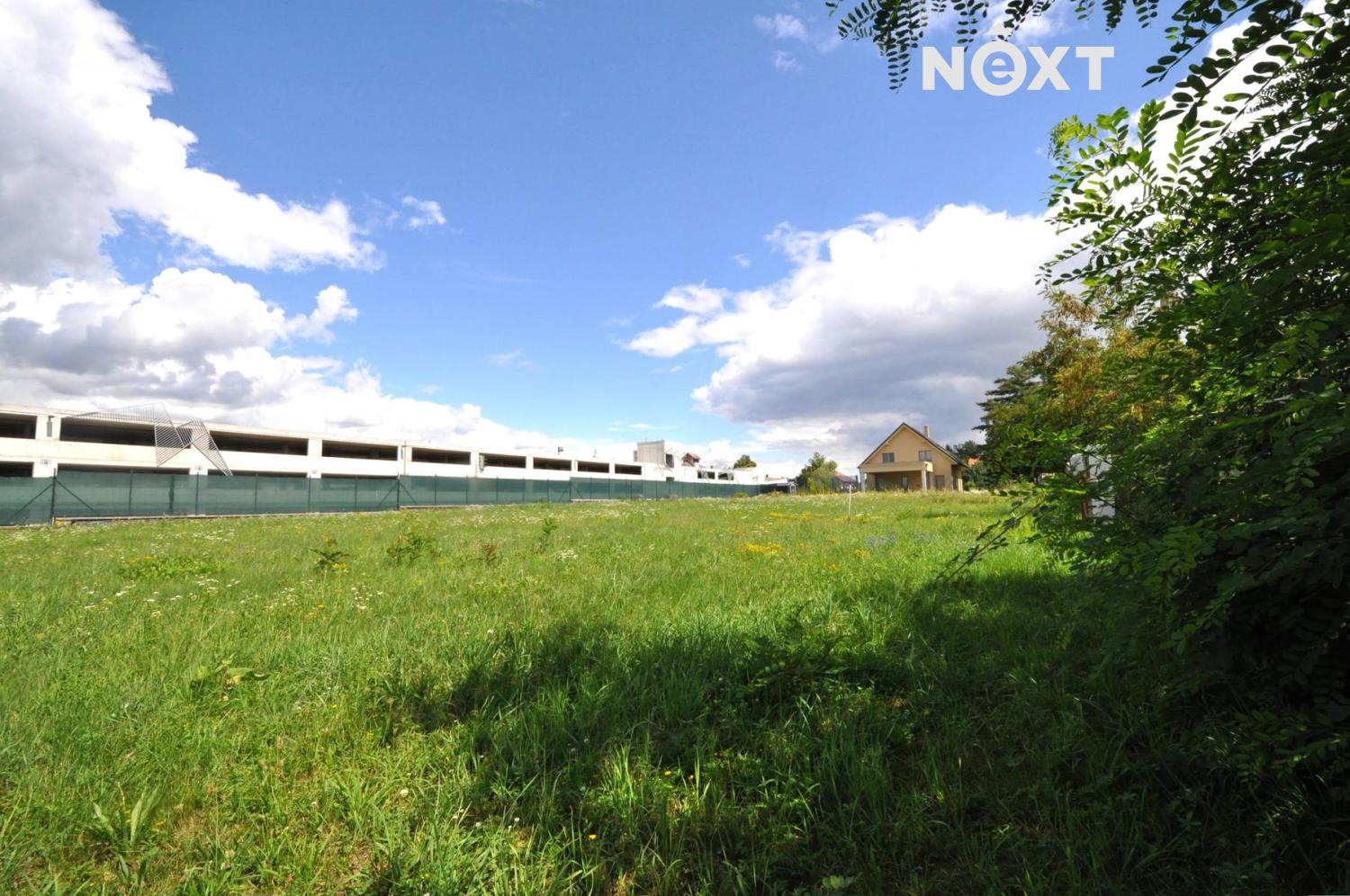 dsc-0902.1754294190.jpg