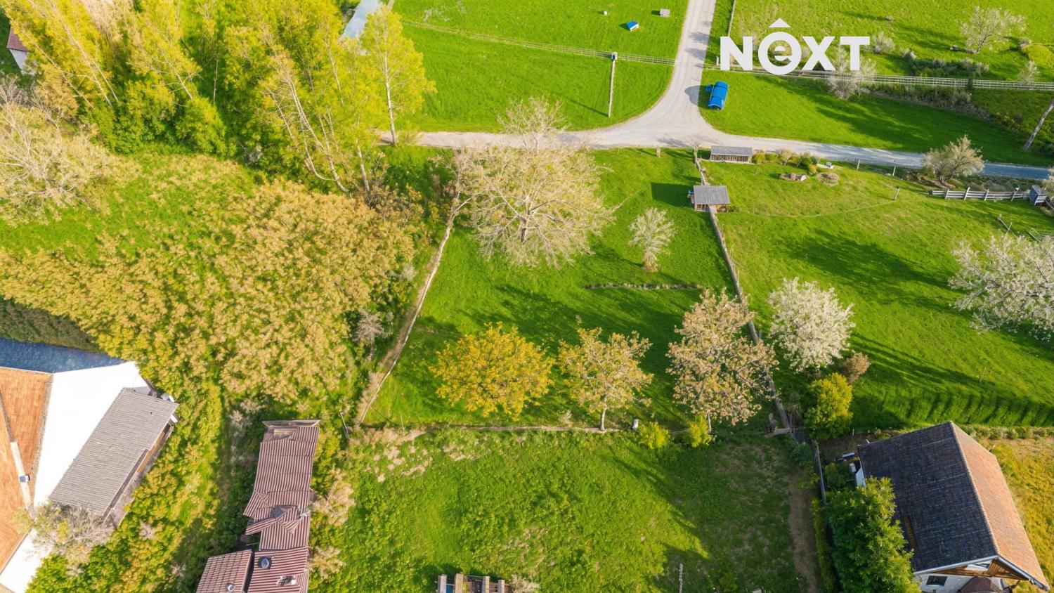 c74b46e1-82d9-4116-afaf-5767283038ad.1774347557.jp