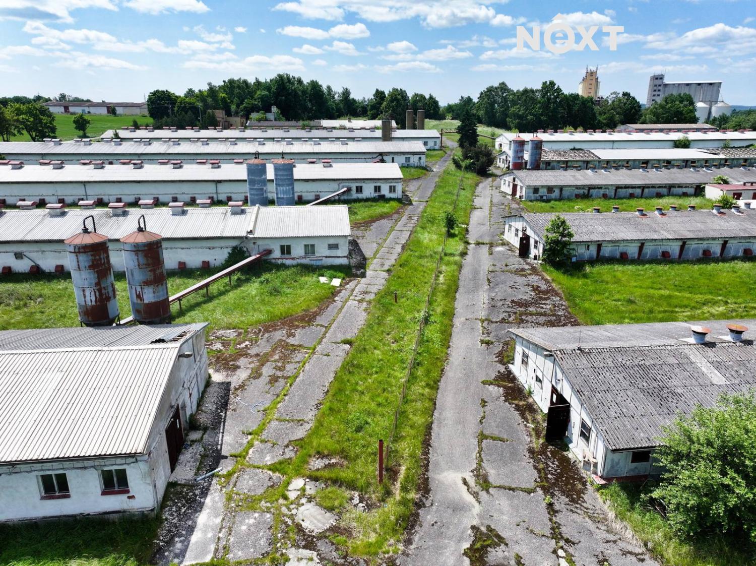 dji-20250612121341-0824-d.1750246220.jpg