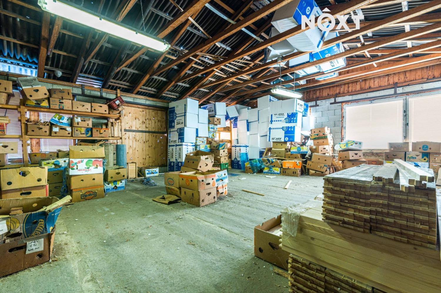 53ad0724-eaef-4c02-8a29-9d70ee2f3d2e.1767610762.jp