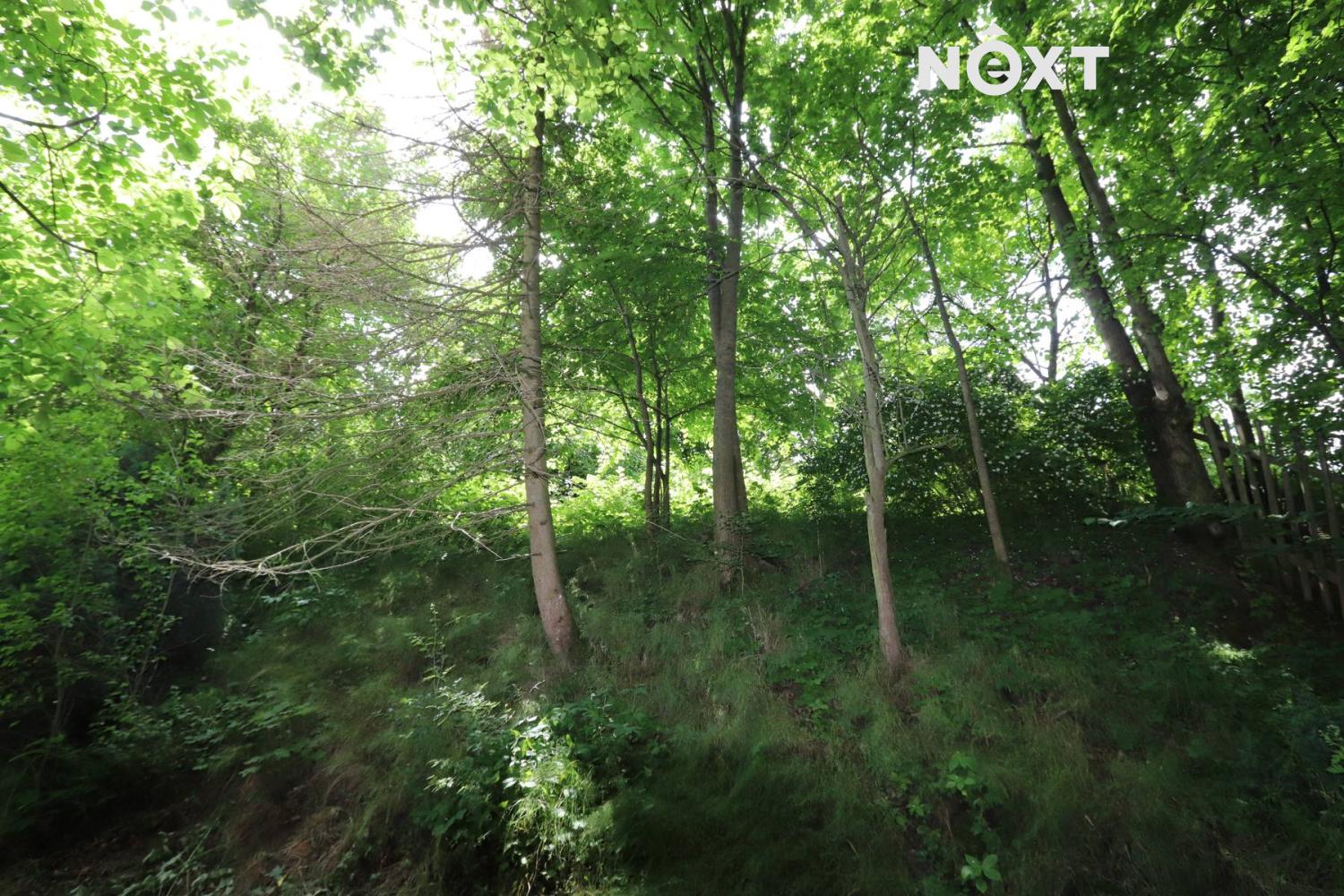 img-2030.1750261007.jpg