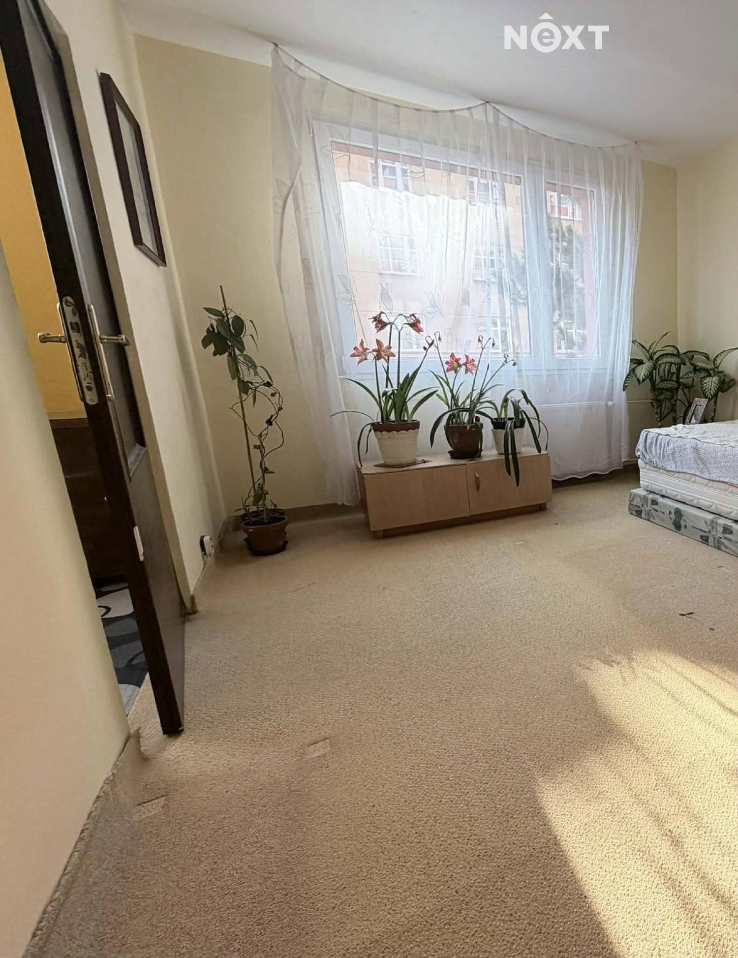 502ac724-6d6a-4d20-bea1-b59d8fc13d9e.1772790265.jp