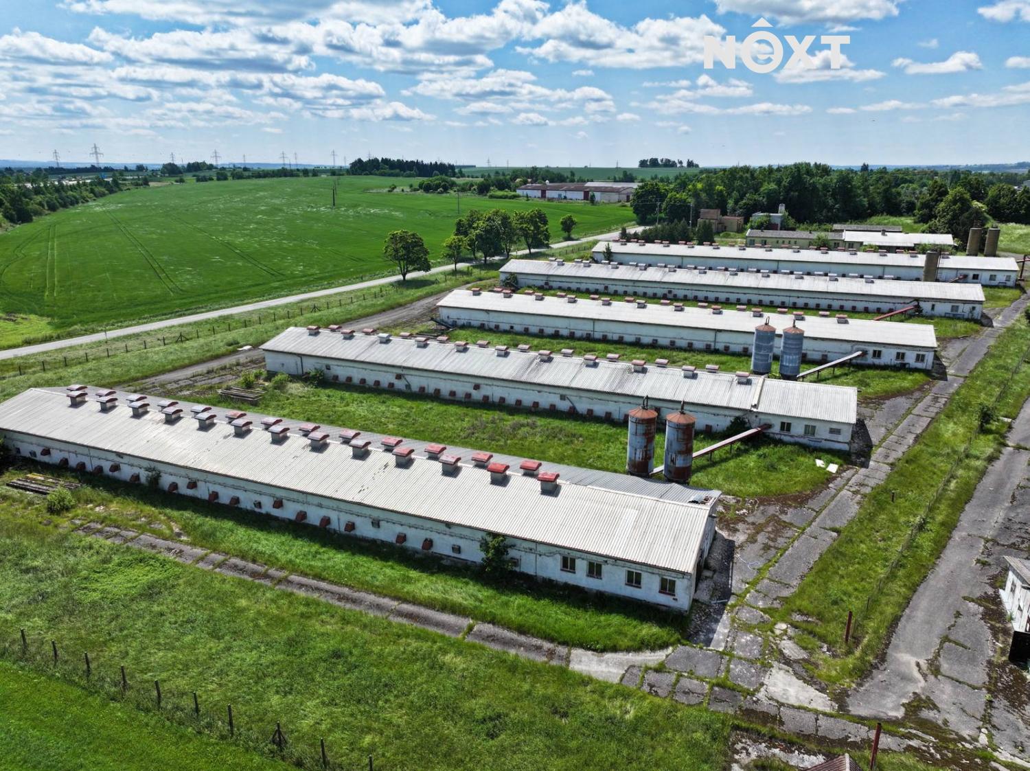 dji-20250612115928-0783-d.1750246195.jpg