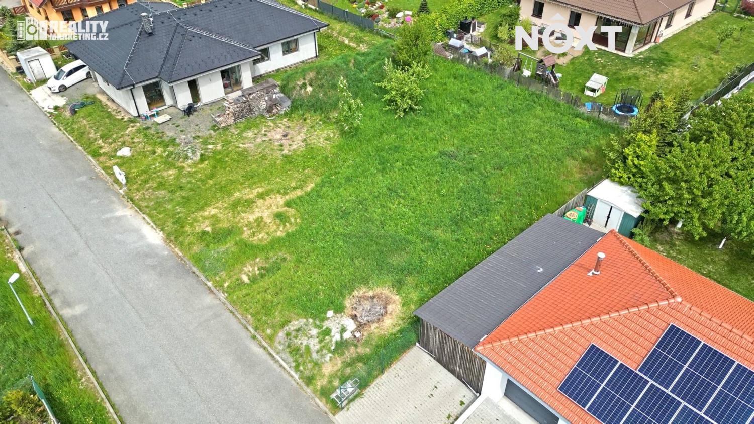 lipovec-04.1747916472.jpg