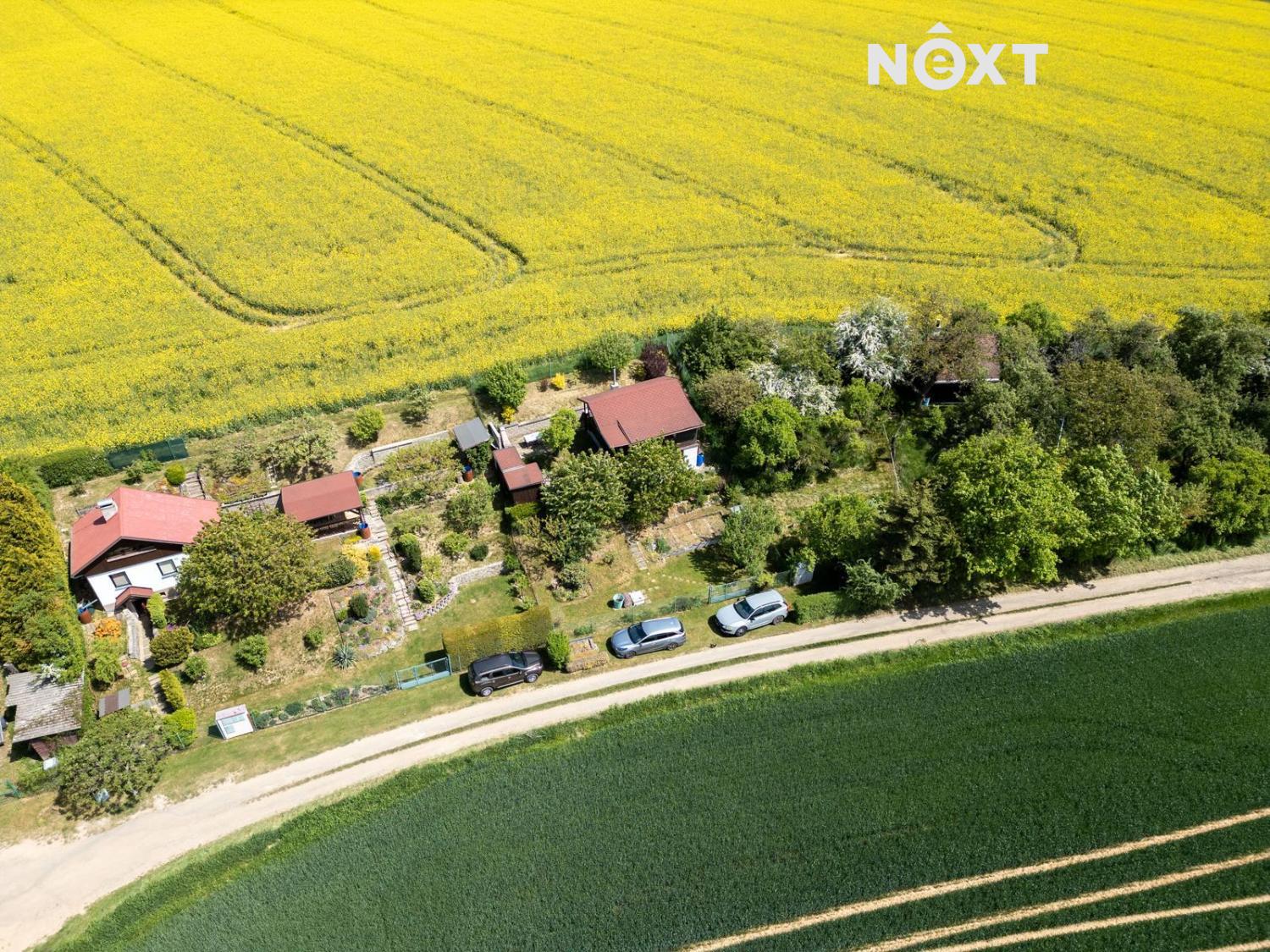 chotikov-5.1747688061.jpg