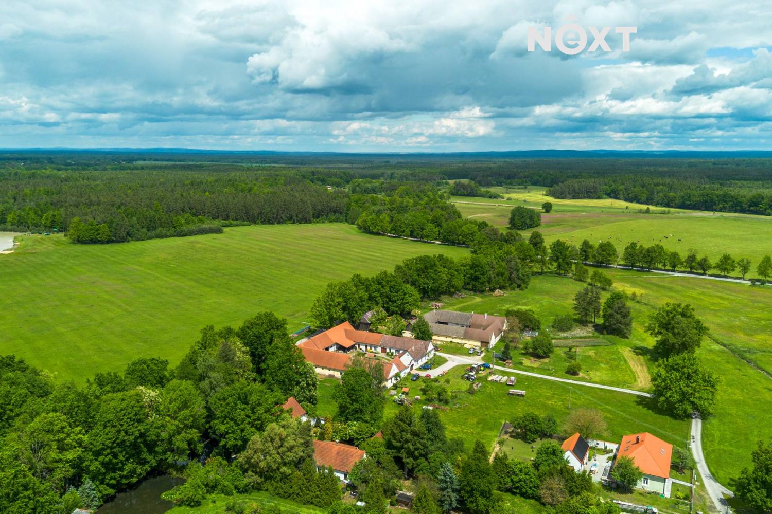 dji-0106.1749124901.jpg