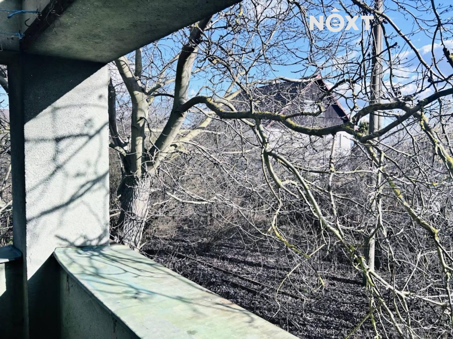 5886702551682452869-121-upscayl-1x-ultramix-balanc